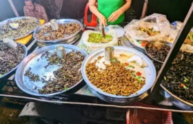 insects-food-stall